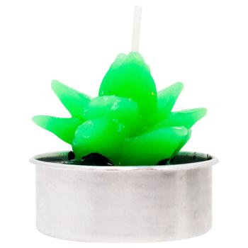 ZED Cactus Decorative Candle - buy, prices for EKO Market - photo 2