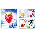 Mriyi zbuvayutʹsya Notebook in oblique line 12 sheets in stock