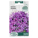 Semena Ukrayny Fragrant Mattiola Flowers Seeds 1g