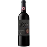 Вино Castelli del Grevepesa Clemente VII Chianti Classico Riserva червоне сухе 14% 0,75л