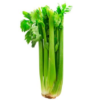 Import Celery Stalk - buy, prices for WINETIME - photo 1