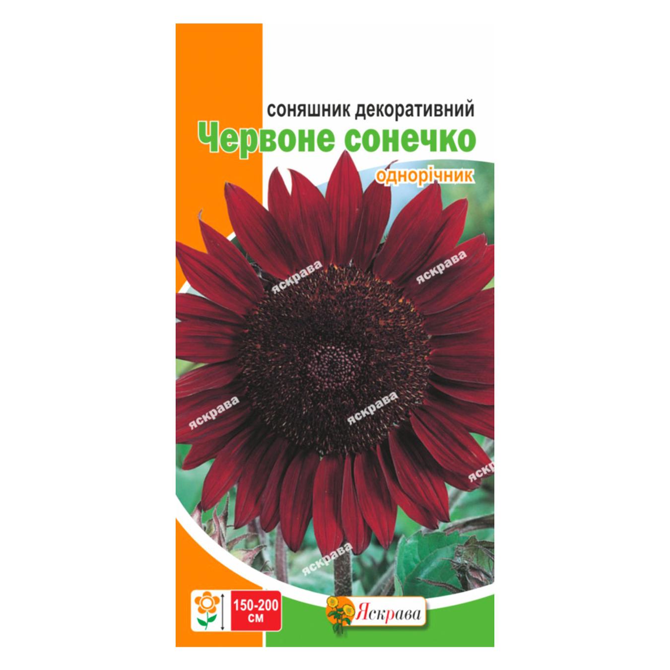 Фото товару