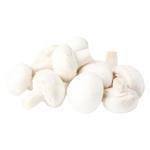 Mushrooms cup mushrooms fresh