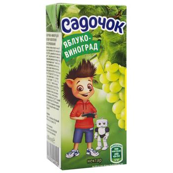 Sadochok Apple-grapes Nectar 200ml