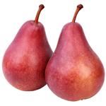 Груша Конференція червона