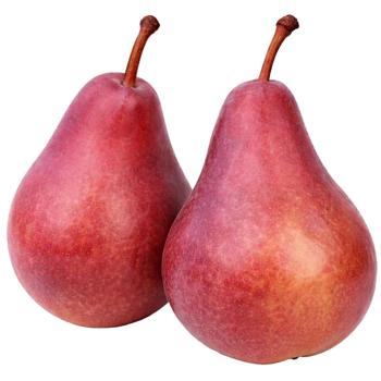 Conference Red Pear