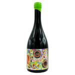 Вино виноградне столове Rkatsiteli Qvevri TM Gigi Winery сухе бурштинове, 0,75л 13%