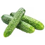 Izmail Prickly Cucumber