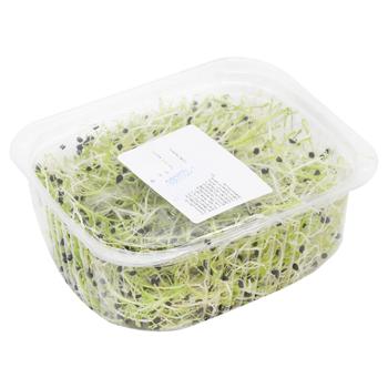 Микрогрин лука 50г - купить, цены на ULTRAMARKET - фото 2