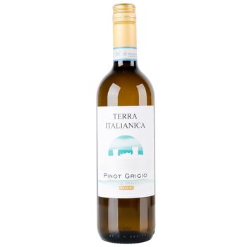 Вино Terra Italianica Pinot Grigio біле сухе 12% 0,75л - купити, ціни на Восторг - фото 1