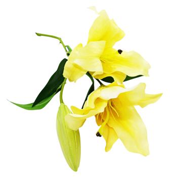 Цветы искусственные Лилия - купить, цены на Таврия В - фото 4