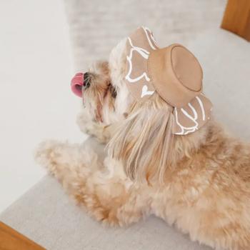 Pet Fashion Print Dog Panama s.XS Beige - buy, prices for MasterZoo - photo 8
