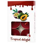 Свічки ароматичні Candy Light Tropical Delight 6шт в асортименті