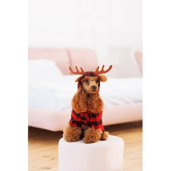 Costume Pet fashion - buy, prices for MasterZoo - photo 5