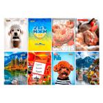 Tetrada Hard Cover Diary in assortment