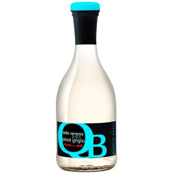 Cantine Riunite Pinot Grigio White Dry Wine 12% 250ml - buy, prices for WINETIME - photo 1