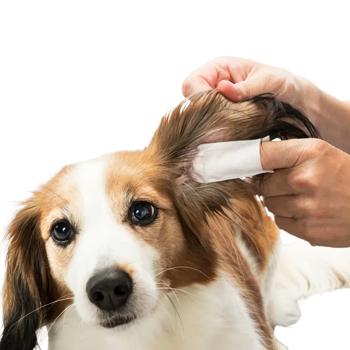 Серветки Trixie Ear Care для вух собак та котів з алое вера та гамамелісом 50шт - купити, ціни на MasterZoo - фото 3