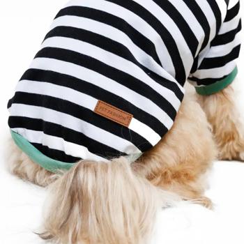 Pet Fashion Breeze T-shirt for Dogs s.M Black-White - buy, prices for MasterZoo - photo 8