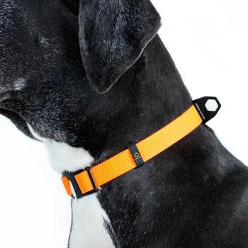 Нашийник для собак Collar Evolutor 25-70см/25мм помаранчевий - купити, ціни на MasterZoo - фото 7
