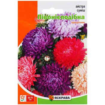 Yaskrava Aster Peony Mixture Seeds 3g - buy, prices for Auchan - photo 1