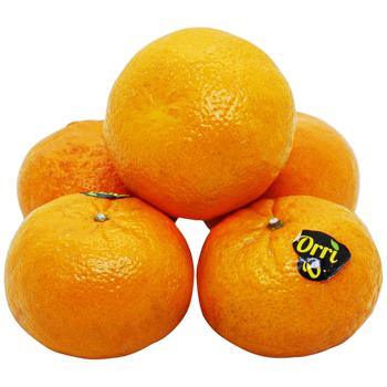 Orri Tangerine Israel