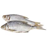 Samyi Smak Shelf Dried Bream