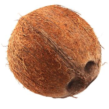 Coconut, pc - buy, prices for Tavria V - photo 1