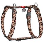 Leash Collar Ukraine