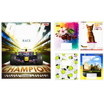 Тетрадь Мрії збуваються в линию 24 листа в ассортименте - купить, цены на Чудо Маркет - фото 1