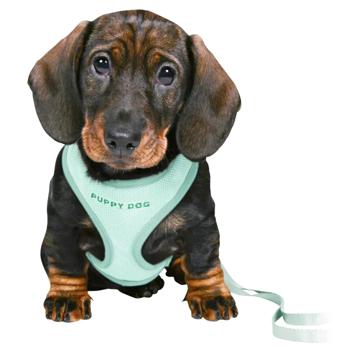 Шлея для щенков Trixie Junior Puppy Soft с поводком S-M 26-34см/10мм мятный - купить, цены на MasterZoo - фото 6