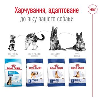 Royal Canin Maxi Adult Dry Food with Poultry for Dogs of Large Breeds 3kg - buy, prices for MasterZoo - photo 6