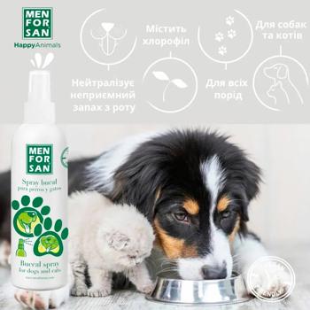 Menforsan Buccal Spray Oral Spray for Dogs and Cats 125ml - buy, prices for MasterZoo - photo 4