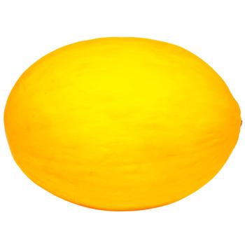 Yellow Melon
