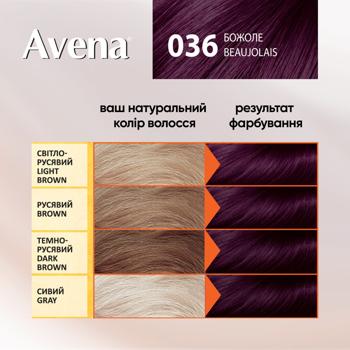 Краска для волос Avena Gloss Божоле 036 - купить, цены на МегаМаркет - фото 3