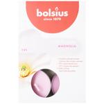 Свеча Bolsius True Scents магнолия 6шт