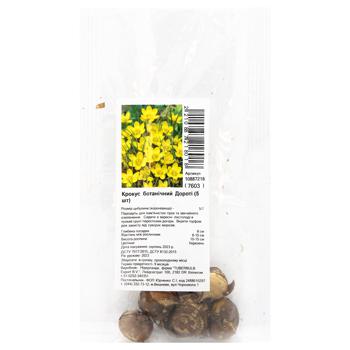 Botanical Crocus Dorothy Bulbotuber 5pcs