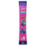 Alexis Blueberry Fruit Pastille 17g