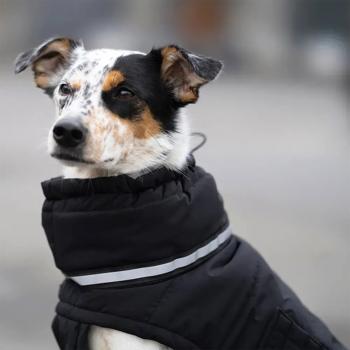 Noble Pet Bobby Bravery Down Jacket for Dogs s.3XL Black - buy, prices for - photo 4