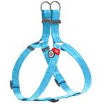 Leash Collar Ukraine