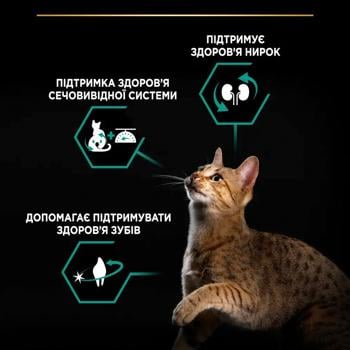 Корм сухий Purina Pro Plan Renal Plus з індичкою для стерилізованих котів 400г - купити, ціни на MasterZoo - фото 4