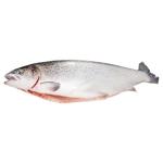 Форель Mеtro Chef тушка 5+