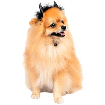 Pet Fashion Imp Horns Accessory for Dogs s.M-L Black - buy, prices for MasterZoo - photo 2