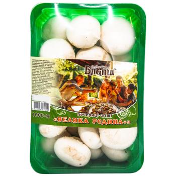 Yablunivski Pecherytsi Mushrooms 1kg - buy, prices for Auchan - photo 7