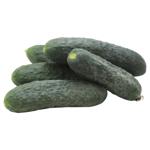 Огурец отборный