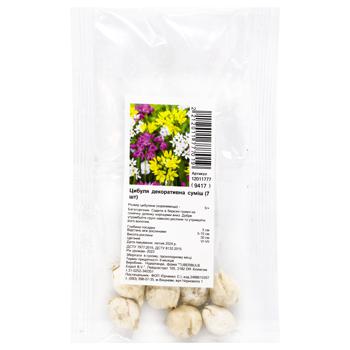 Onion Decorative Mix Bulbs 7pcs - buy, prices for Za Raz - photo 1