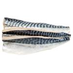 Mackerel Fillet