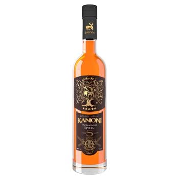 Kanoni 5yo Cognac 40% 0.5l - buy, prices for - photo 1