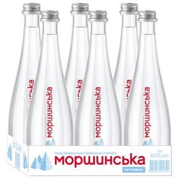 Morshynsʹka Mineral water non-carbonated 0.5l - buy, prices for METRO - photo 2