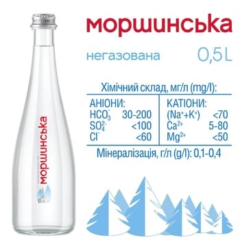 Morshynsʹka Mineral water non-carbonated 0.5l - buy, prices for METRO - photo 3