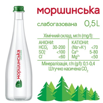 Morshinska Mineral water low-carbonated 0.5l - buy, prices for METRO - photo 2